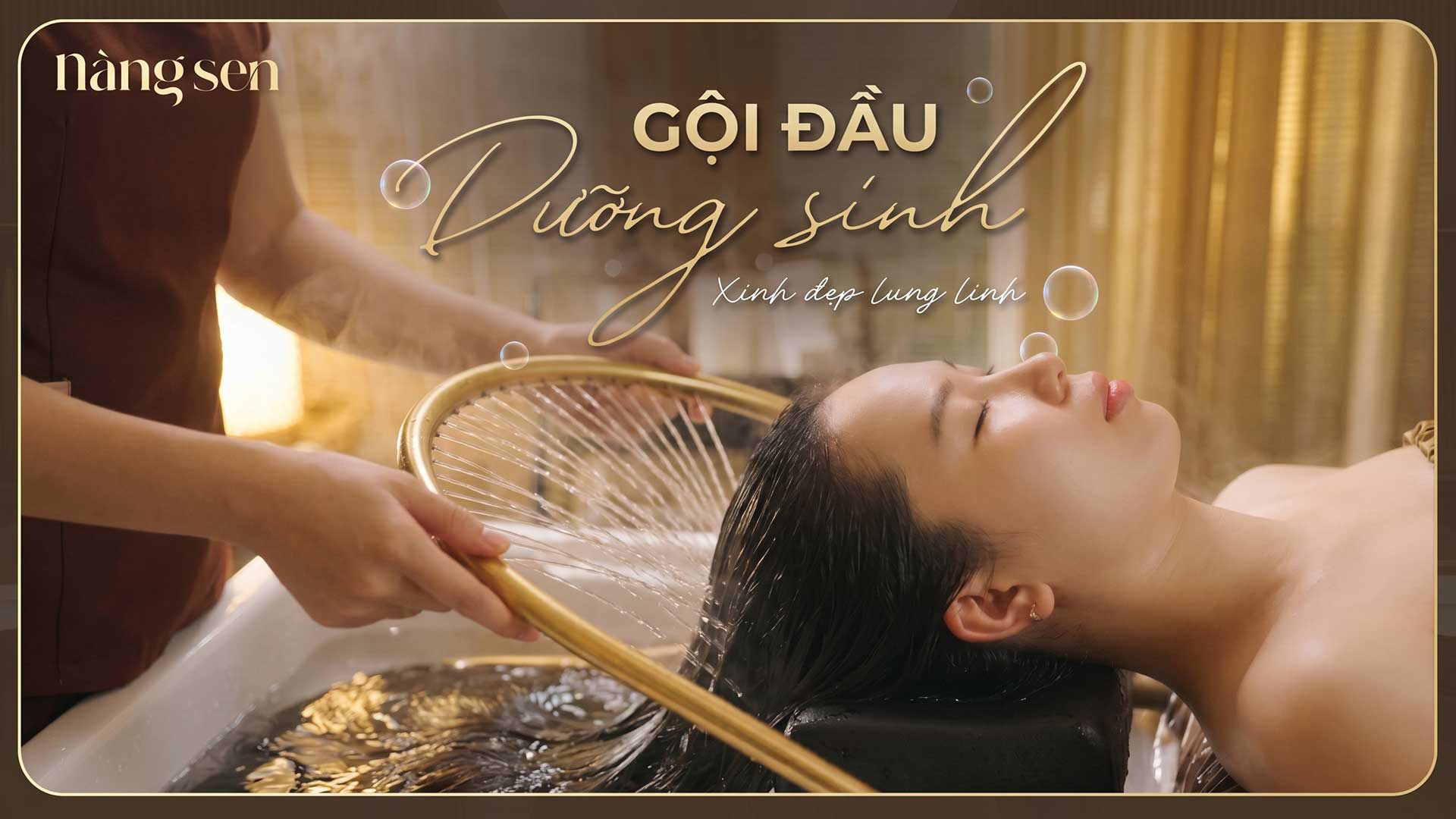 GỘI ĐẦU DƯỠNG SINH