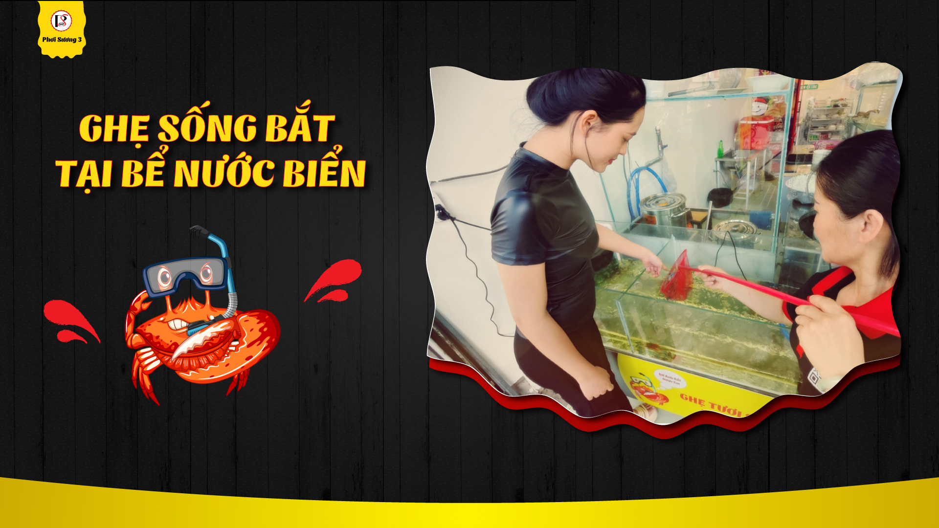BẮT GHẸ TƯƠI SỐNG TẠI BỂ